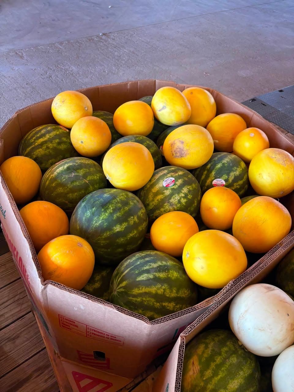 Yellow and striped watermelons packed for a West Texas produce pop-up