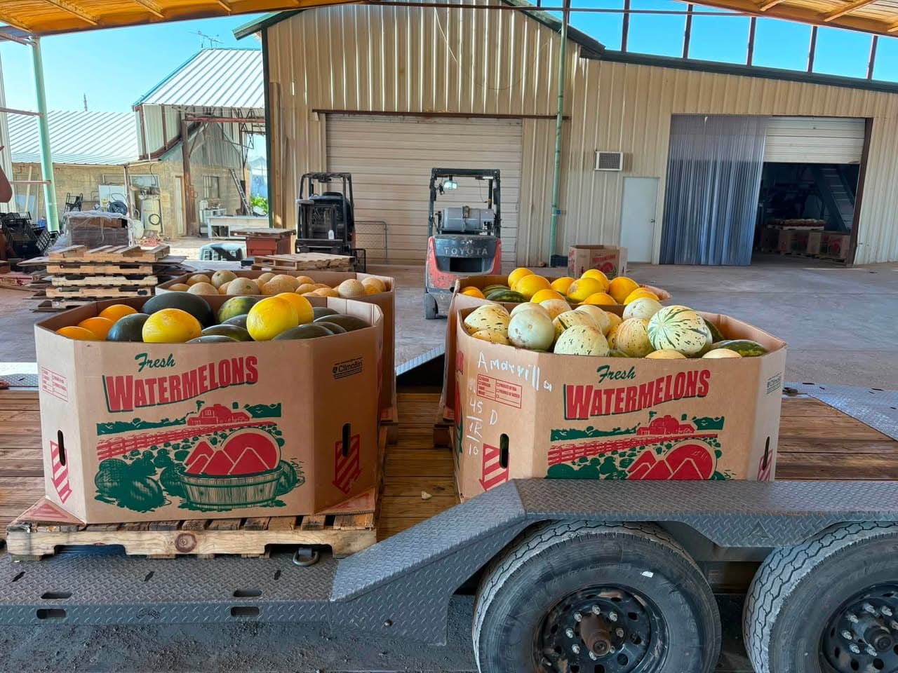 Trailer loaded with West Texas cantaloupes, watermelons and specialty melons